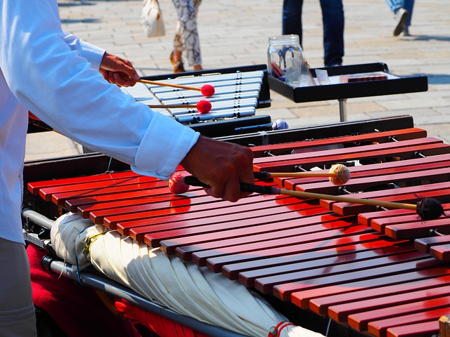 instrument de musique xylophone avec baguettes enfants