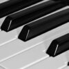 instrument de musique piano touches blanches et noires choisir un piano