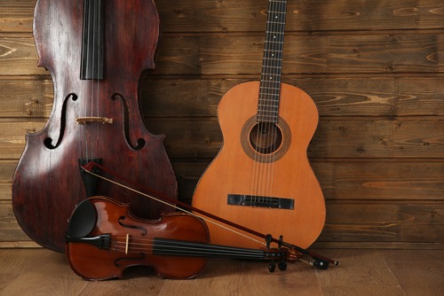 instruments à cordes contrebasse guitare vionon